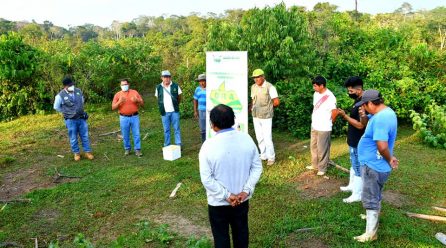 DRA IMPLEMENTA CAMPAÑA DE VACUNACIÓN DE GANADO VACUNO, PARA PROTEGERLOS CONTRA CARBUNCO SINTOMÁTICO