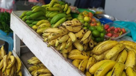 PRECIOS AL MINORISTA MERCADO PADRE ALDAMIZ