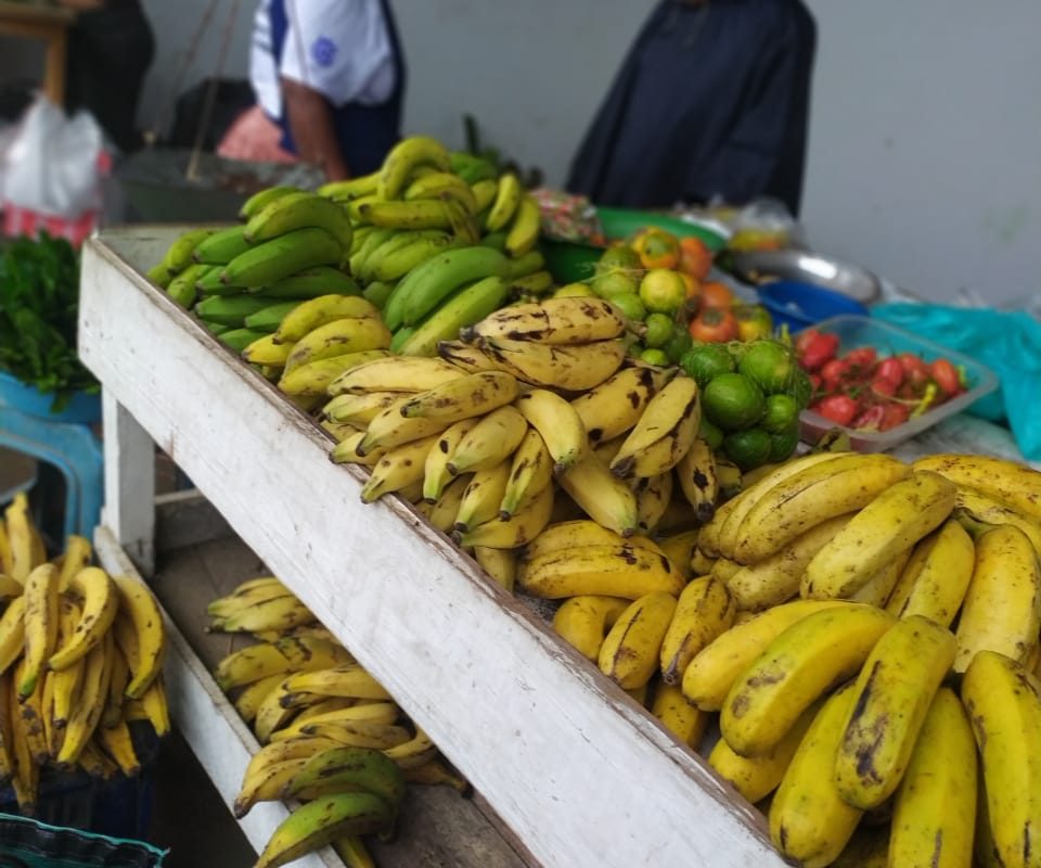 PRECIOS AL MINORISTA MERCADO PADRE ALDAMIZ