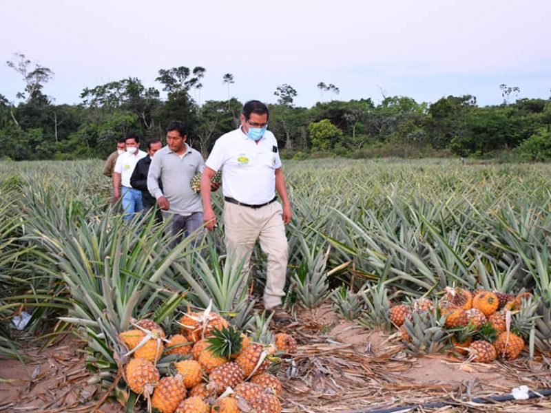 DIRECCIÓN REGIONAL DE AGRICULTURA DE MADRE DE DIOS, BRINDARÁ APOYO CON MAQUINARIA Y ASESORAMIENTO TÉCNICO A LOS AGRICULTORES.