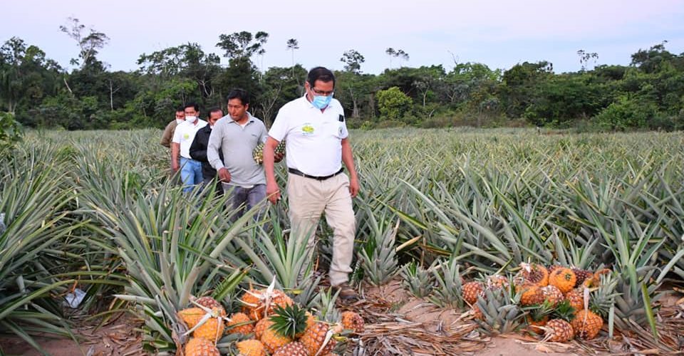 DIRECCIÓN REGIONAL DE AGRICULTURA DE MADRE DE DIOS, BRINDARÁ APOYO CON MAQUINARIA Y ASESORAMIENTO TÉCNICO A LOS AGRICULTORES.