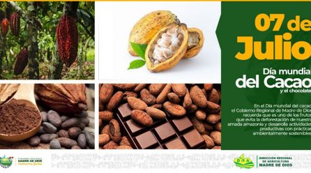 7 DE JULIO DÍA MUNDIAL DEL CACAO