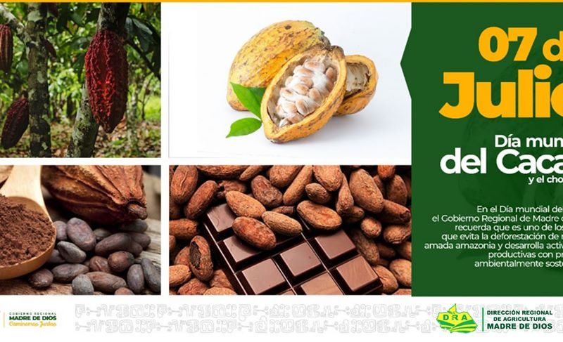 7 DE JULIO DÍA MUNDIAL DEL CACAO