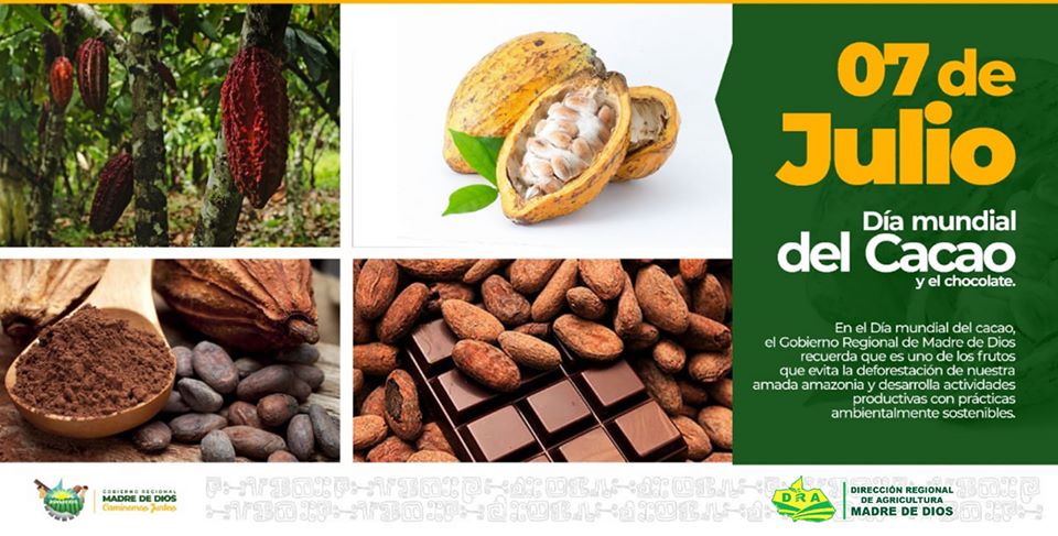 7 DE JULIO DÍA MUNDIAL DEL CACAO