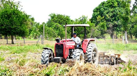 DRA CONTINÚA APOYANDO CON MAQUINARIA Y ASISTENCIA TÉCNICA A LOS AGRICULTORES DE MADRE DE DIOS.
