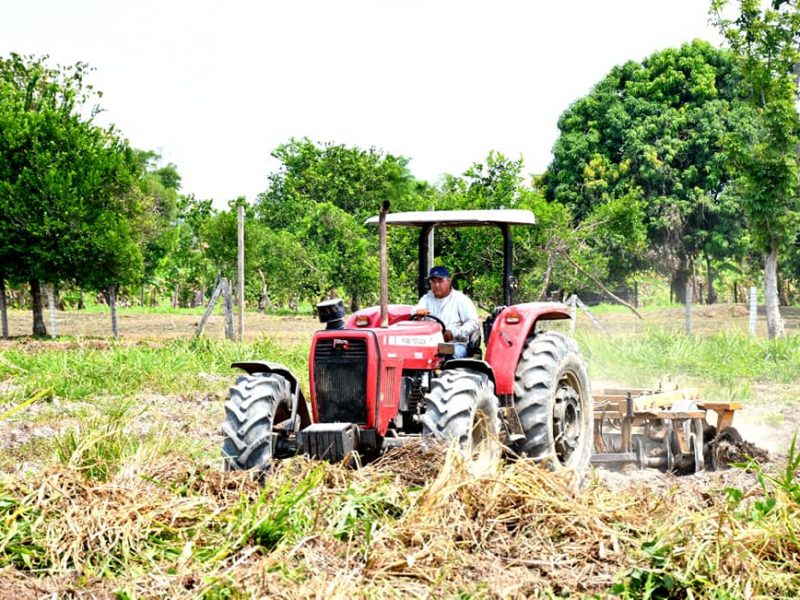 DRA CONTINÚA APOYANDO CON MAQUINARIA Y ASISTENCIA TÉCNICA A LOS AGRICULTORES DE MADRE DE DIOS.