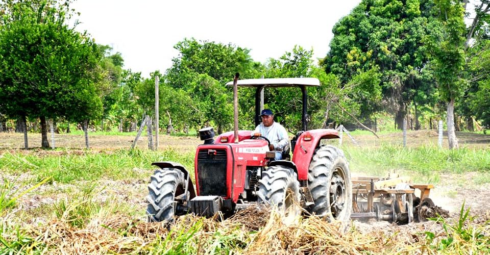 DRA CONTINÚA APOYANDO CON MAQUINARIA Y ASISTENCIA TÉCNICA A LOS AGRICULTORES DE MADRE DE DIOS.