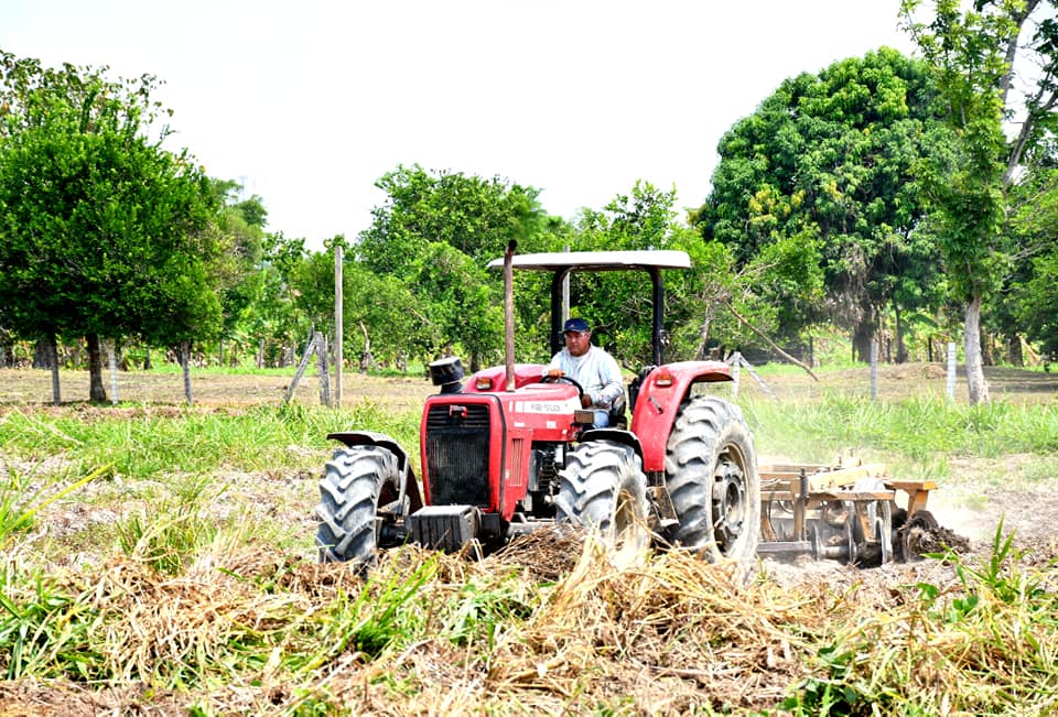 DRA CONTINÚA APOYANDO CON MAQUINARIA Y ASISTENCIA TÉCNICA A LOS AGRICULTORES DE MADRE DE DIOS.