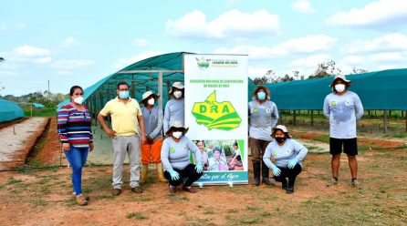 DRA MONITOREA AVANCE DEL PROYECTO CACAO EN EL DISTRITO DE LAS PIEDRAS
