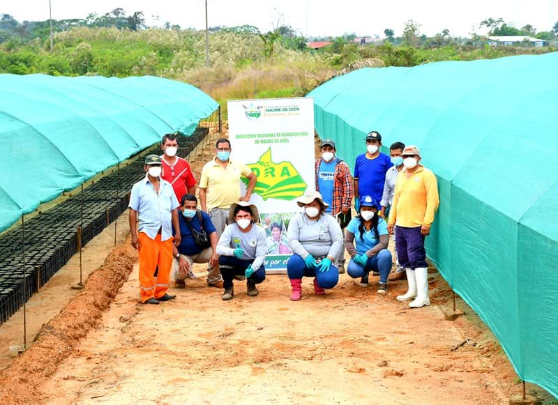 MONITOREO DE LA PRODUCCIÓN DE PLANTONES DE CACAO EN IBERIA.