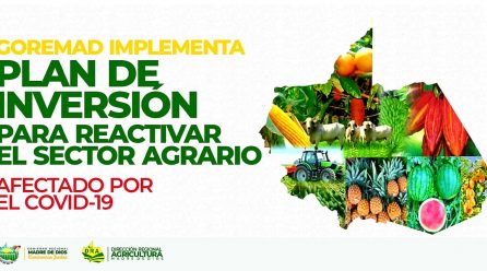 GOREMAD IMPLEMENTA PLAN DE INVERSIÓN PARA REACTIVAR EL SECTOR AGRARIO AFECTADO POR EL COVID-19.