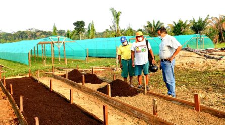 DRA COMPROBÓ AVANCE DEL PROYECTO CACAO, PARA CUMPLIR OBJETIVOS TRAZADOS.