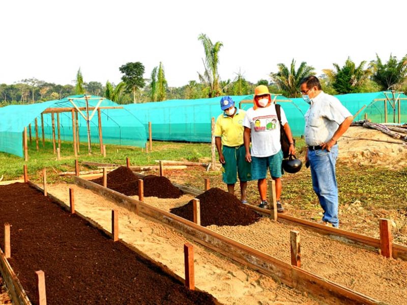 DRA COMPROBÓ AVANCE DEL PROYECTO CACAO, PARA CUMPLIR OBJETIVOS TRAZADOS.