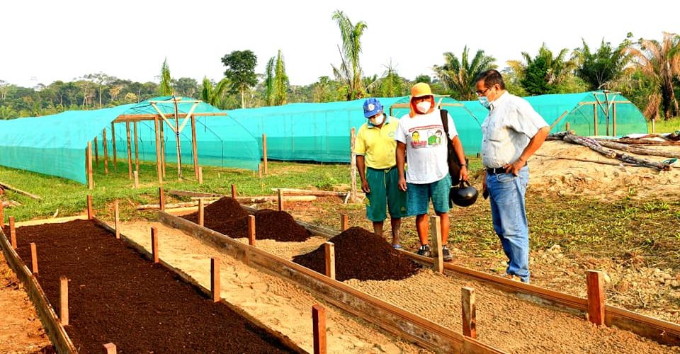 DRA COMPROBÓ AVANCE DEL PROYECTO CACAO, PARA CUMPLIR OBJETIVOS TRAZADOS.