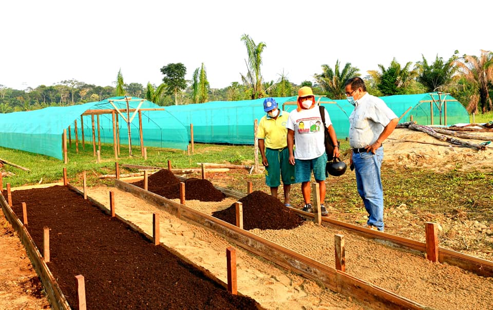 DRA COMPROBÓ AVANCE DEL PROYECTO CACAO, PARA CUMPLIR OBJETIVOS TRAZADOS.