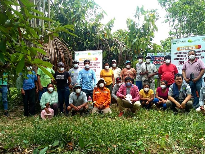 GOREMAD A TRAVÉS DE LA DRA CAPACITA A MÁS AGRICULTORES PARA EL MANEJO INTEGRADO DEL CULTIVO DEL CACAO.
