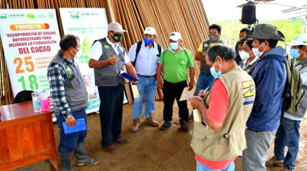 |JORNADA DE TRABAJO PARA UNIFORMIZACIÓN DE CRITERIOS TÉCNICOS EN EL CULTIVO DE CACAO.