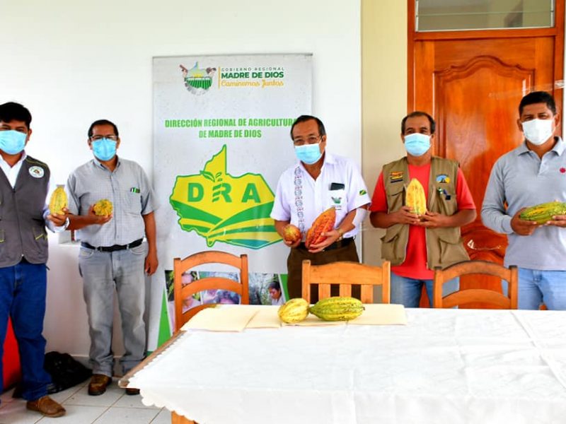 GOREMAD REALIZA TALLER DE TRABAJO PARA CONSENSUAR CRITERIOS TÉCNICOS EN MANEJO DE CULTIVO DE CACAO EN MADRE DE DIOS.