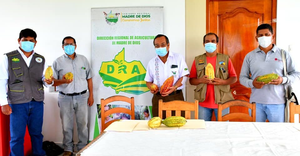 GOREMAD REALIZA TALLER DE TRABAJO PARA CONSENSUAR CRITERIOS TÉCNICOS EN MANEJO DE CULTIVO DE CACAO EN MADRE DE DIOS.