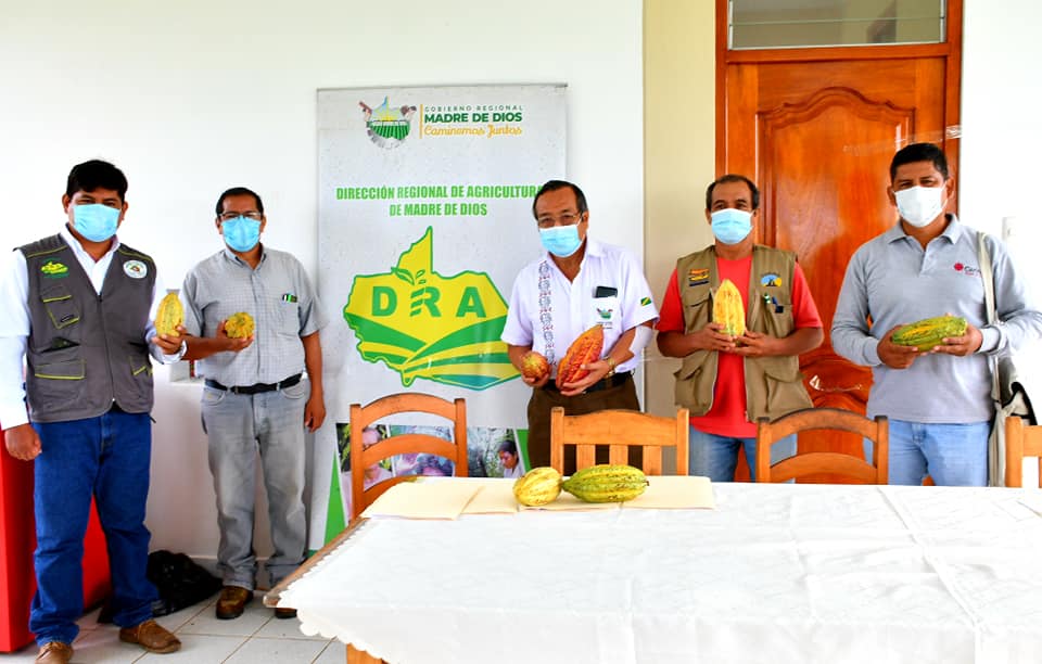 GOREMAD REALIZA TALLER DE TRABAJO PARA CONSENSUAR CRITERIOS TÉCNICOS EN MANEJO DE CULTIVO DE CACAO EN MADRE DE DIOS.