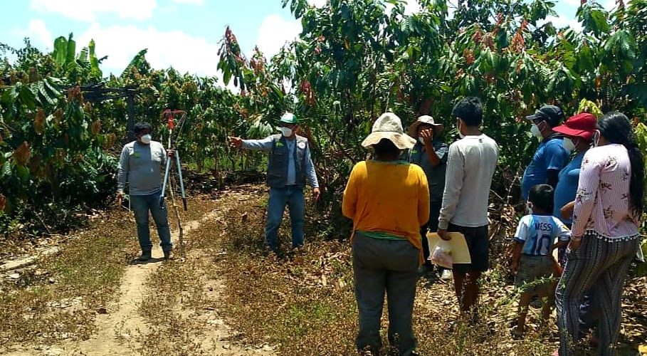 CAPACITACIÓN A LOS AGRICULTORES PARA MANEJO CULTIVO DEL CACAO.