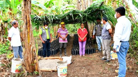 PROYECTO CACAO ENTREGÓ SEMILLAS A BENEFICIARIOS DE LA CACHUELA Y BAJO TAMBOPATA.