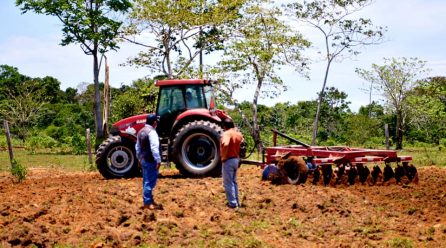 |GOREMAD MECANIZA MÁS 800 HECTÁREAS DE TIERRAS AGROPECUARIAS EN EL AÑO 2020 EN LA REGIÓN DE MADRE DE DIOS.