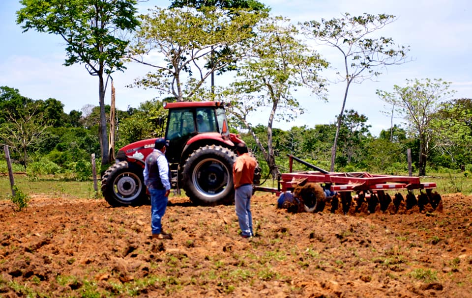 |GOREMAD MECANIZA MÁS 800 HECTÁREAS DE TIERRAS AGROPECUARIAS EN EL AÑO 2020 EN LA REGIÓN DE MADRE DE DIOS.