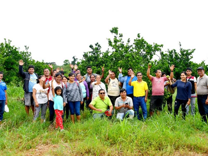 AGRICULTORES COMPARTEN EXPERIENCIA EN MANEJO DE CULTIVO DE CÍTRICOS.