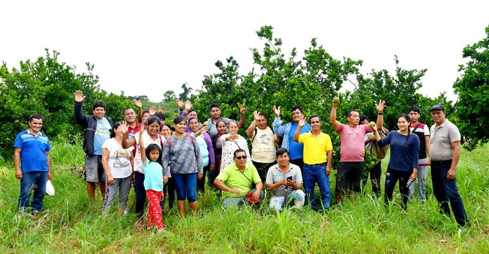 AGRICULTORES COMPARTEN EXPERIENCIA EN MANEJO DE CULTIVO DE CÍTRICOS.
