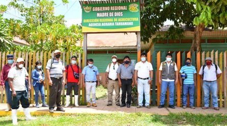 DRA CONTINÚA IMPULSANDO VIVEROS VOLANTES PARA BENECIARIOS DEL PROYECTO CACAO EN EL DISTRITO DE IBERIA.
