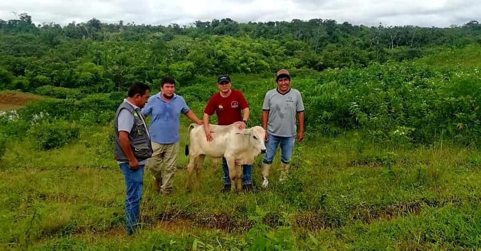 GOREMAD Y DRA BRINDAN ASISTENCIA A BENEFICIARIOS DE PROYECTO GANADERO.
