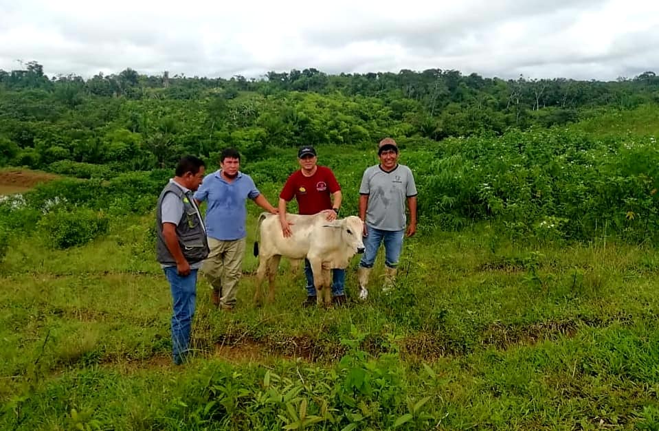 GOREMAD Y DRA BRINDAN ASISTENCIA A BENEFICIARIOS DE PROYECTO GANADERO.