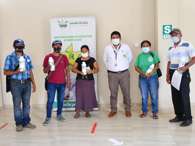 DRA AYUDA A HOMBRES DEL CAMPO EN RECUPERACIÓN DE CULTIVOS AFECTADOS POR PLAGAS E INUNDACIONES.