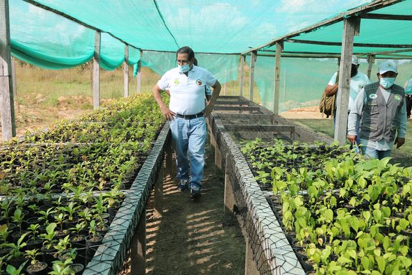 FUNCIONARIOS Y TÉCNICOS DE LA DRA SUPERVISARON LABORES QUE SE DESARROLLAN EN VIVERO AGRO FORESTAL