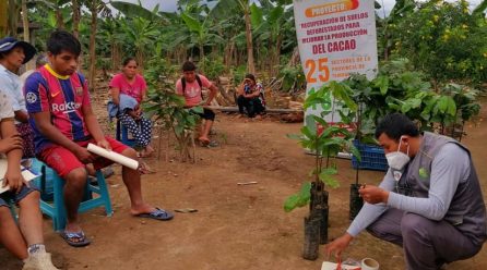 CURSOS Y TALLERES SE ACELERAN PARA LLEGAR A MAYOR NUMERO DE BENEFICIARIOS DEL PROYECTO CACAO