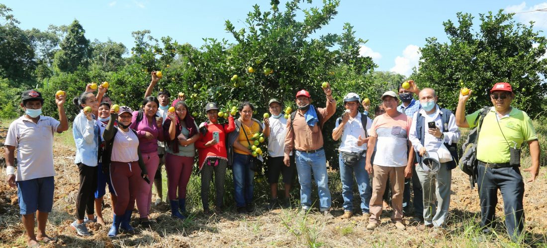GOREMAD Y LA DRA AMPLÍAN LA CADENA PRODUCTIVA. AHORA APUNTA AL CULTIVO DE CITRICOS, CAPACITANDO A LOS AGRICULTORES.