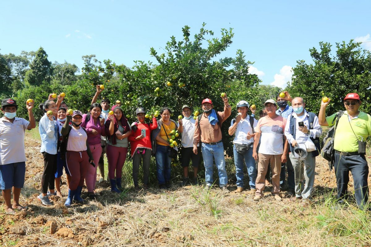 GOREMAD Y LA DRA AMPLÍAN LA CADENA PRODUCTIVA. AHORA APUNTA AL CULTIVO DE CITRICOS, CAPACITANDO A LOS AGRICULTORES.