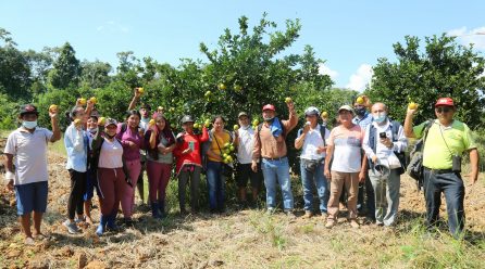 GOREMAD Y LA DRA AMPLÍAN LA CADENA PRODUCTIVA. AHORA APUNTA AL CULTIVO DE CITRICOS, CAPACITANDO A LOS AGRICULTORES.