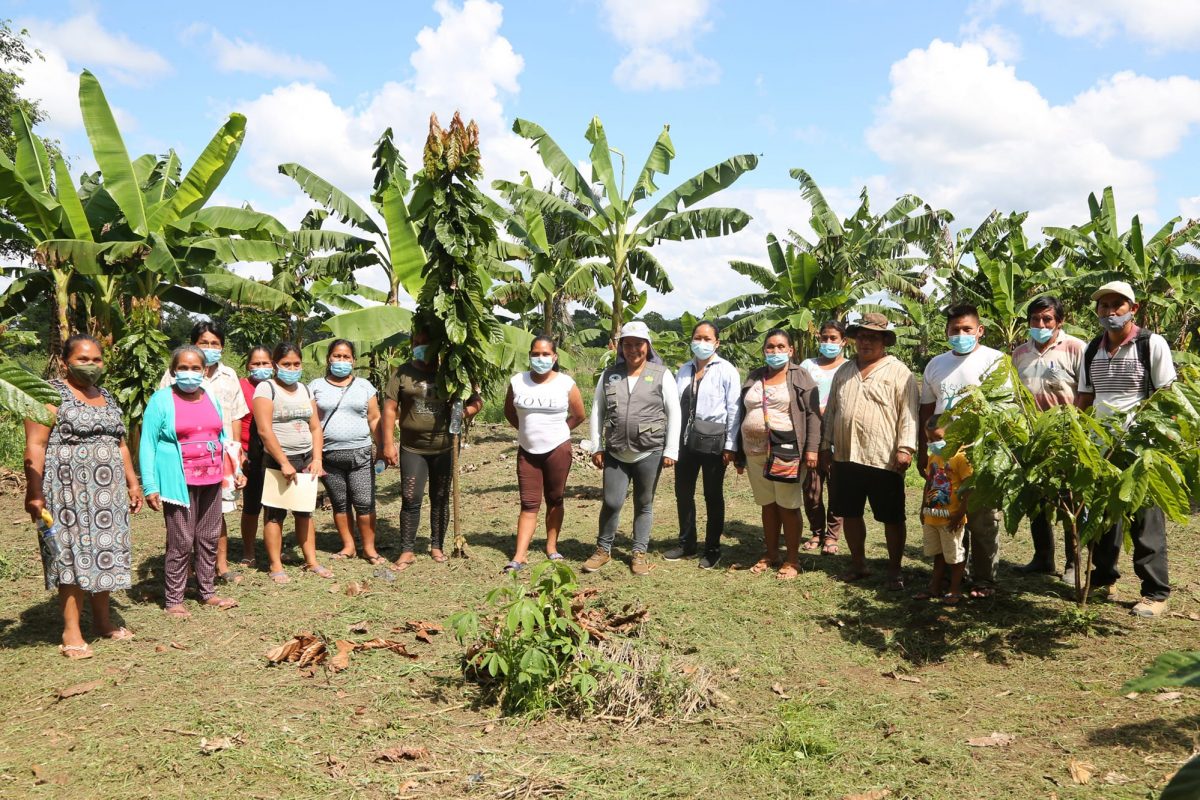 GOREMAD Y LA DRA, PREPARA A LOS AGRICULTORES PARA AVANZAR EN LA CERTIFICACIÓN ORGÁNICA DE CULTIVO DEL CACAO.