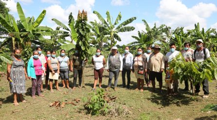 GOREMAD Y LA DRA, PREPARA A LOS AGRICULTORES PARA AVANZAR EN LA CERTIFICACIÓN ORGÁNICA DE CULTIVO DEL CACAO.