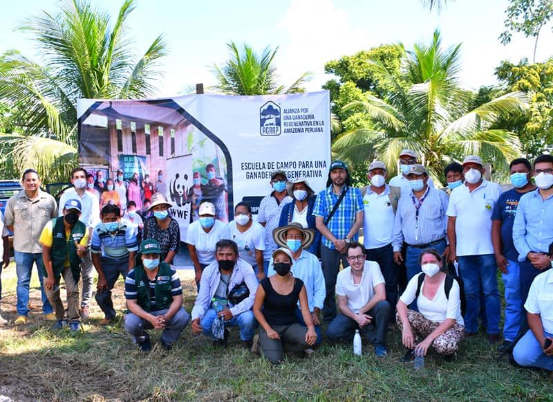 Para mejorar los niveles de producción ganadera en Madre de Dios, se realizan  Escuelas de Campo.