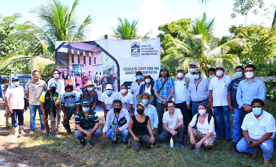 Para mejorar los niveles de producción ganadera en Madre de Dios, se realizan  Escuelas de Campo.