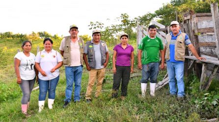 Goremad impulsa el mejoramiento de ganado bovino con diversas actividades en la provincia del Tahuamanu.