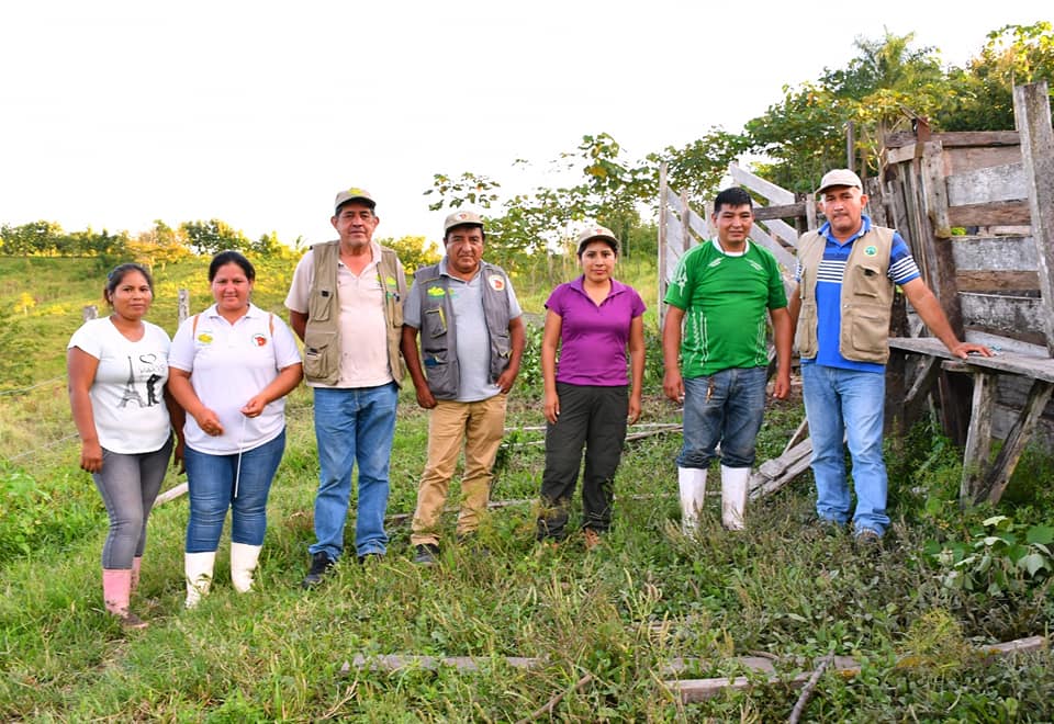 Goremad impulsa el mejoramiento de ganado bovino con diversas actividades en la provincia del Tahuamanu.