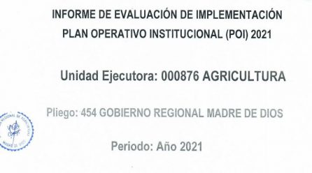 INFORME DE EVALUACION DE IMPLEMENTACION PLAN OPERATIVO INSTITUCIONAL (POI)2021