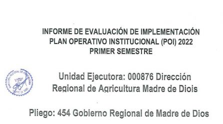 INFORME DE EVALUACION DE IMPLEMENTACION PLAN OPERATIVO INSTITUCIONAL (POI)2022
