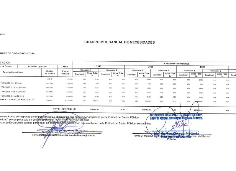 CUADRO MULTIANUAL DE NECESIDADES